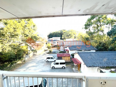 【展望】 | ルピナス