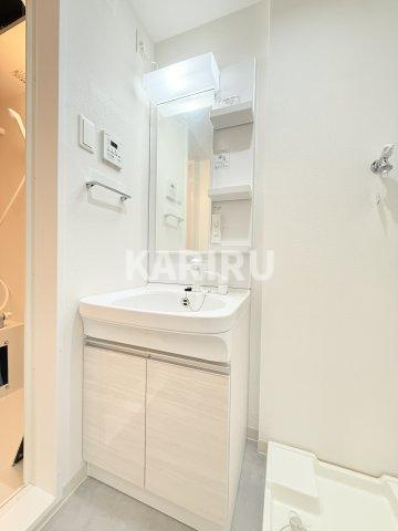 Ｆ　Ｎｏｒｍａｌｉｓ　ＳＥＡＭの洗面所