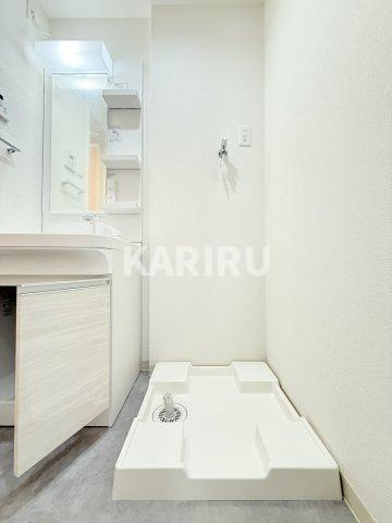 Ｆ　Ｎｏｒｍａｌｉｓ　ＳＥＡＭのその他