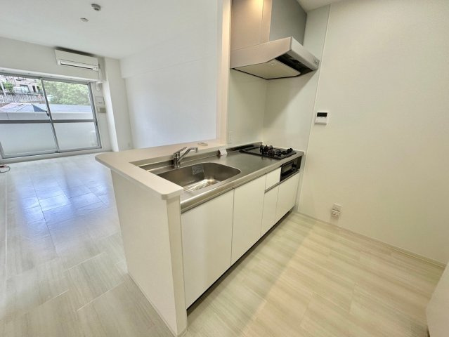 キャッスルコート岩端のキッチン