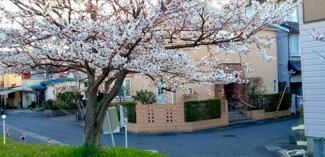  | 野洲市栄　中古戸建