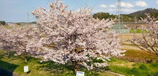  | 野洲市栄　中古戸建