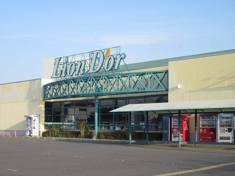 ルミエール正木Ｂの周辺|リオン・ドール鏡石店まで400m