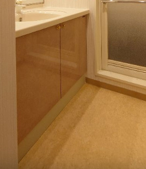 【独立洗面台】 | デ・リード錦糸町