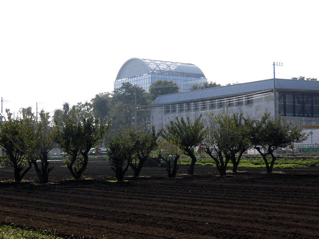 私立武蔵野美術大学まで1572m