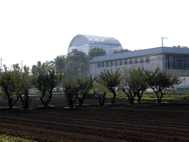 私立武蔵野美術大学まで1572m