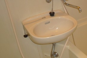 ベルメゾン亀戸の洗面所