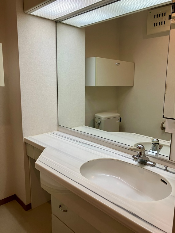 フリーディオ大崎の洗面所