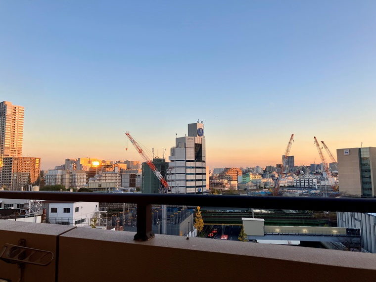 フリーディオ大崎の展望