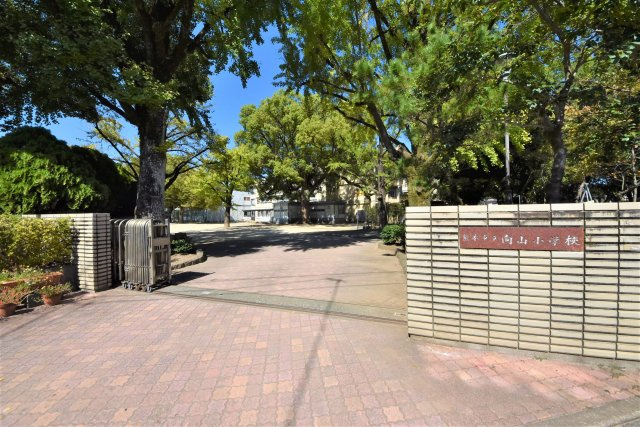 熊本市中央区本山3丁目第1-4棟(C号棟)の周辺|向山小学校