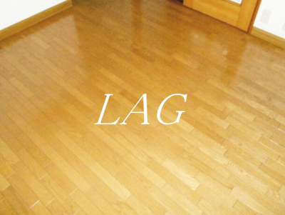 【居間・リビング】 | ハレアイナ武蔵小山 | 洋室のお部屋です。