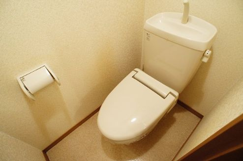 アムール青木のトイレ|別号室の参考写真です。