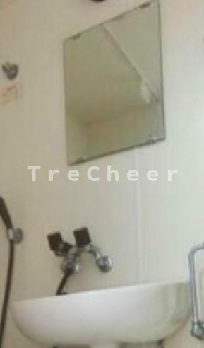 ロワール下保谷(Loire下保谷)の洗面所