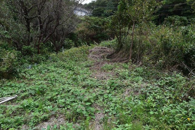 【外観】 | 伊東市川奈　売地