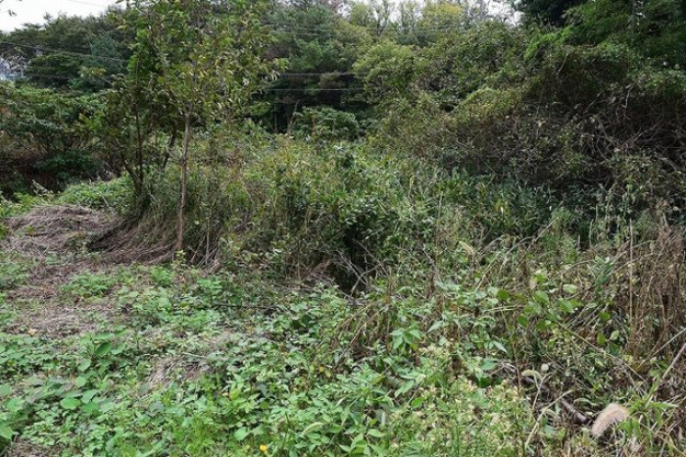 【外観】 | 伊東市川奈　売地