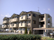 白蔵　Ⅳの画像