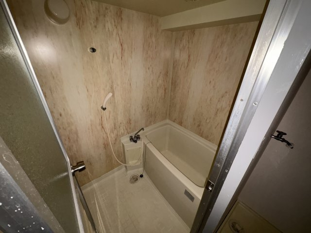 ロイヤルメゾンアドニスの浴室