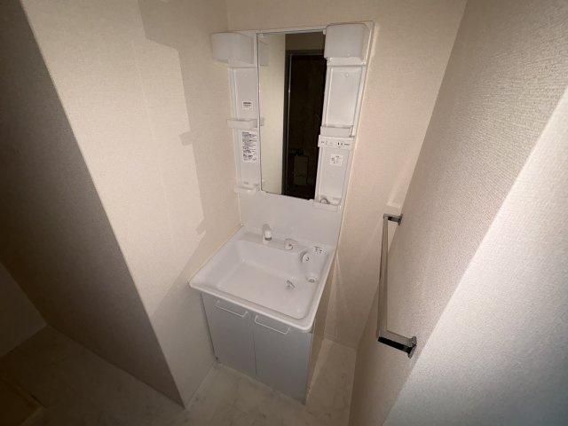 ロイヤルメゾンアドニスの洗面所