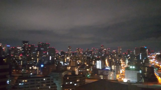 【展望】 | 阿波座ライズタワーズフラッグ46