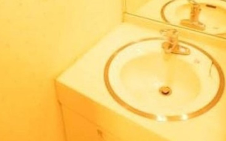 AzaleaHouse野方の独立洗面台