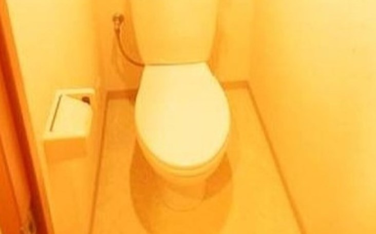 AzaleaHouse野方のトイレ