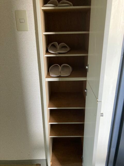 稲城市矢野口の賃貸マンションの収納