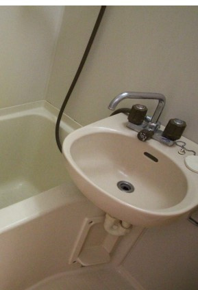 稲城市矢野口の賃貸マンションの洗面所