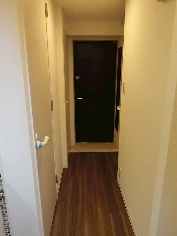 新品家具付きマンション新井16(KaGood東京)の玄関