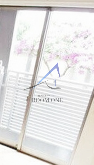 Ｍａｉｓｏｎ　ＨＡＬＵのバルコニー|バルコニーです。