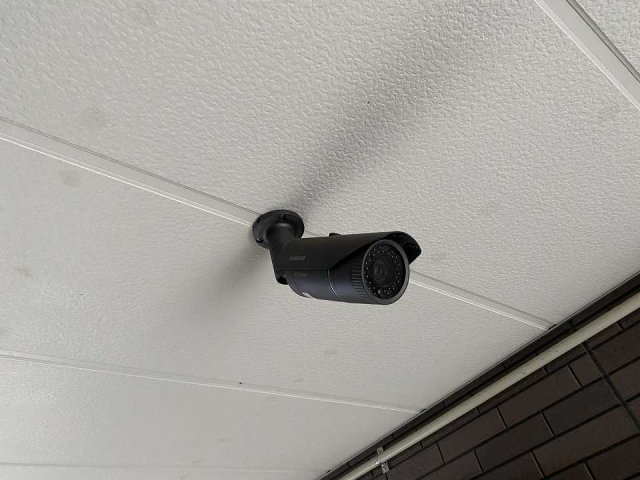 レオネクストアンペルマンのその他