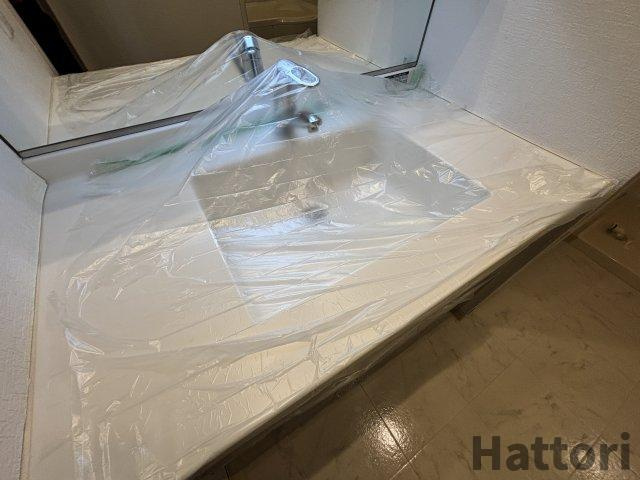 ウエリス・ジオ梅田レジデンスの洗面所