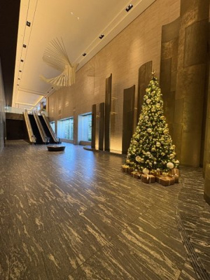 【エントランス】 | 白金ザ・スカイＥ棟