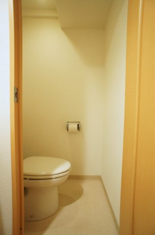 スカイコート日本橋第5のトイレ