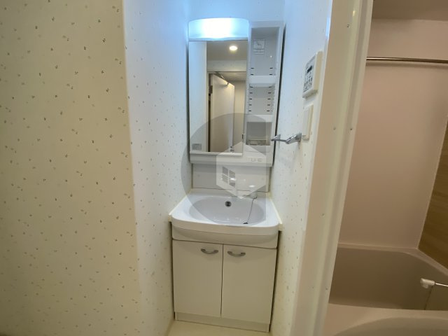 フォレストグレイス高井田1の独立洗面台