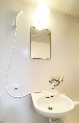 コーポアネシスの洗面所