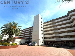 RC造7階建て