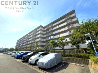 敷地内駐車場