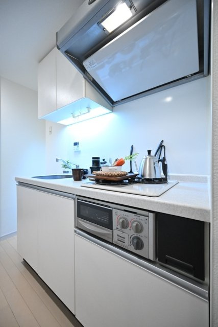 ラ・シード横浜藤が丘のキッチン|システムキッチン（2口ガスコンロ・グリル付）/※家具・小物等はイメージです※