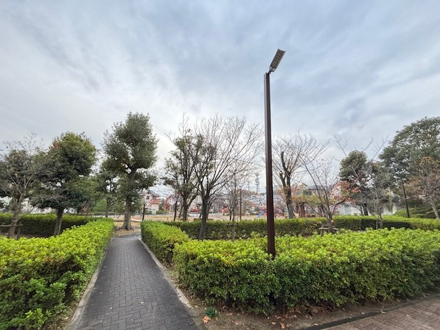 の-の画像