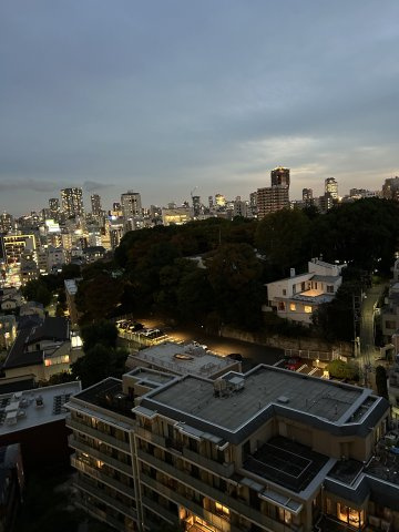 グランスイート麻布台ヒルトップタワーの展望