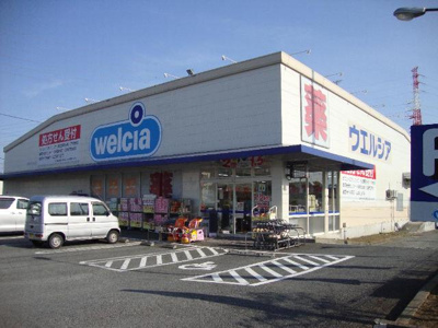 【周辺】 | パークアヴィニューⅡ | ウェルシアまで300ｍ