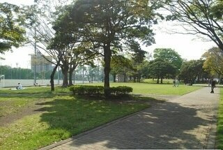 【周辺】 | シャトレラムール | 大岡公園まで290m