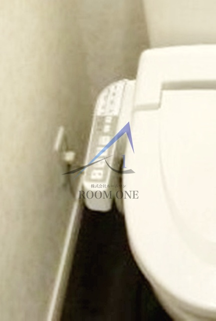 ハウスガーベラ