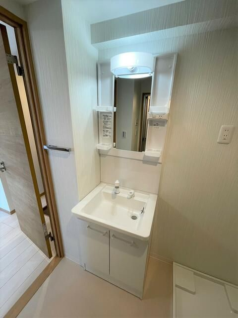 リタ十条の洗面所