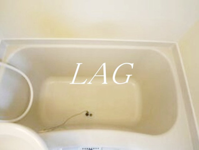 【浴室】 | グローバリービューテラスⅣ | お風呂です。