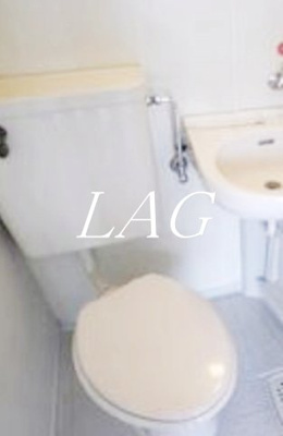 【トイレ】 | グローバリービューテラスⅣ | トイレです。