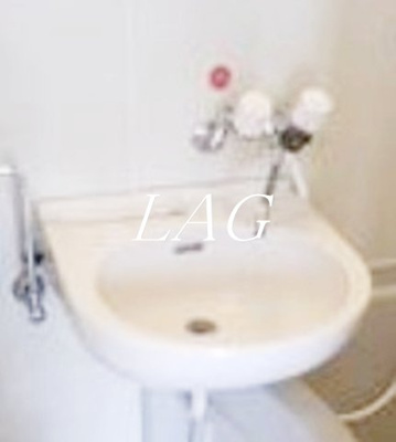 【洗面所】 | グローバリービューテラスⅣ | 洗面台です。