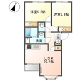 ナミアピアの画像