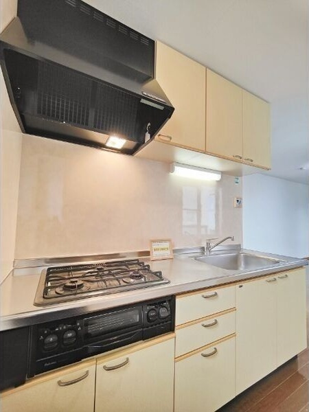 タウンパークSのキッチン