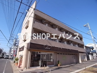 セイクリッド・トゥリーの画像